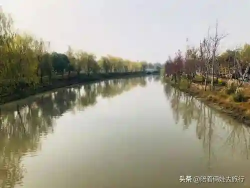 洛克王国紫藤快速获得(洛克王国紫藤150怎么弄)插图12