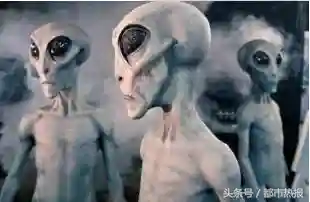 星际战士阵容推荐搭配(星际52区最强阵容)插图15