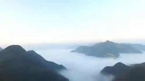 土豆小偷怎么搭配阵容(消除豌豆大作战阵容搭配)插图1