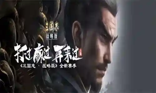 丁奉枪阵容搭配(三国志战略版丁奉最佳战法)插图5