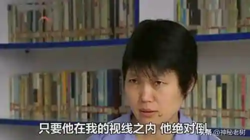 神秘视线4攻略(神秘视线4 单词拼写)插图5