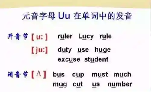 英语音标发音表(48个音标大全表图片)插图8