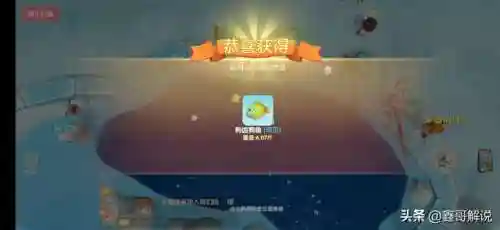 摩尔庄园阳光酥油肉松怎么解锁(摩尔庄园苹果鸡在哪养)插图15