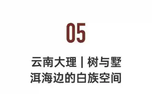命名夜阑阵容怎么搭配(平民宵宫阵容搭配)插图50