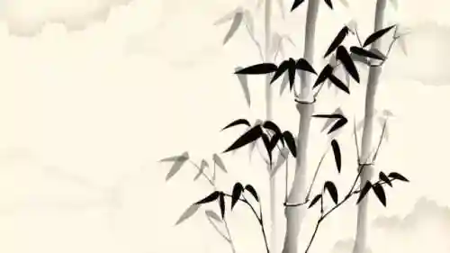 天残拾芳录(万世芬芳录)插图2
