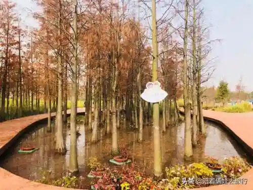 洛克王国紫藤快速获得(洛克王国紫藤150怎么弄)插图9