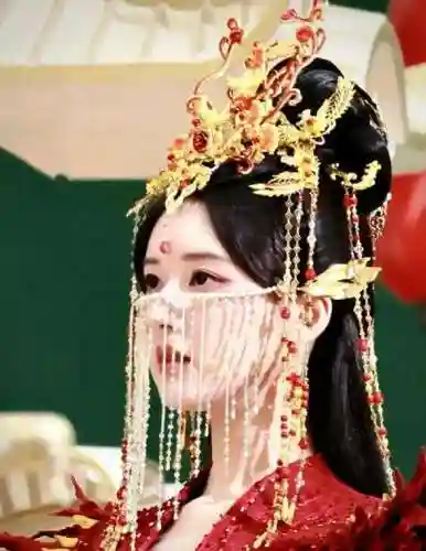 神魂命运最强阵容搭配(圣魂最强阵容)