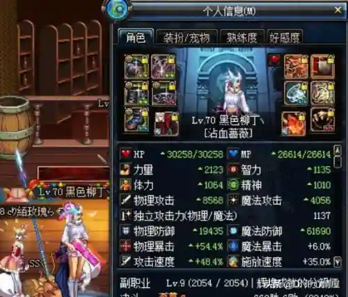 dnf70版本武极最强装备(DNF70版本武极最好的SS拳套)插图3
