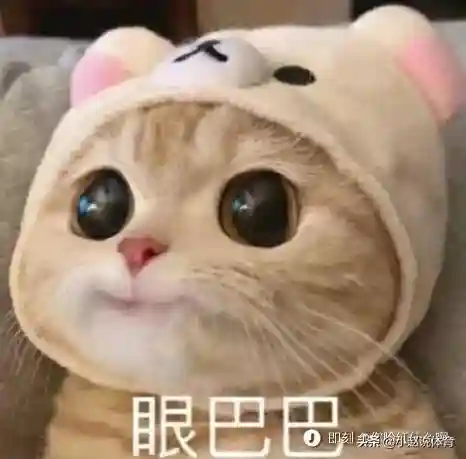季后赛轮转阵容搭配图表(pk赛季主流阵容大汇总)插图5
