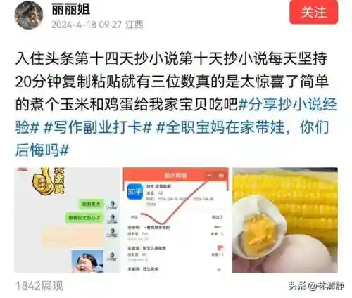 小说抄写员兼职(番茄小说打字录入员)插图5