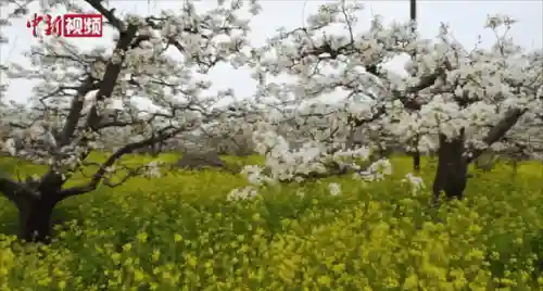 战国英雄手游版烈焰飞雪(新战国英雄有手游吗)插图24