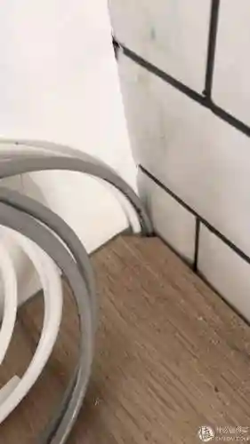 洛克号储物仓的宠物怎么捕捉(洛克号储物仓百科)插图39