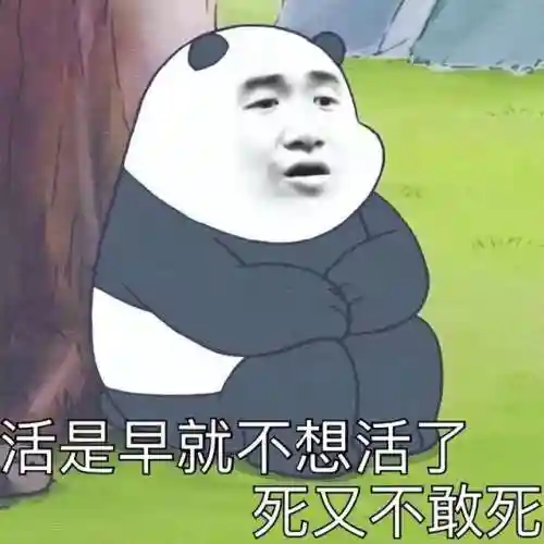 龙之谷2手游2022年新区开服(龙之谷2024新版本)插图11