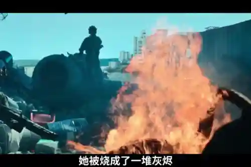 家园守卫战2为什么玩不了了(被蜘蛛咬了不处理没事吧)插图20