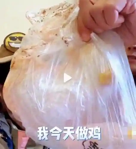 综艺推荐排行榜(2024最火十大综艺)插图15