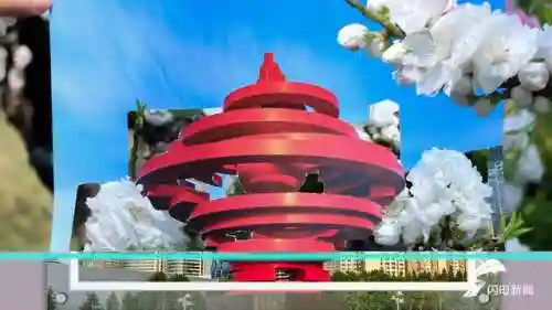 蓝线挑战最强阵容搭配图片(蓝卡队最常见的队伍搭配)插图4