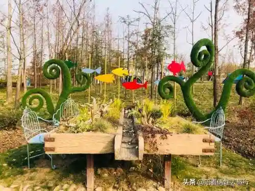 洛克王国紫藤快速获得(洛克王国紫藤150怎么弄)插图63