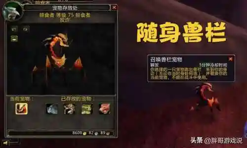 80版本猎人最好用的宠物(wlk猎人最强3个宝宝)插图1