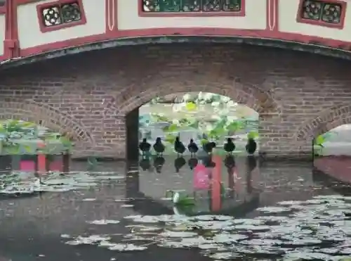 赵云关羽马超阵容搭配(马超vs赵云)插图5