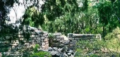 部落冲突卧虎山阵容搭配(部落冲突易守难攻的阵容)插图9