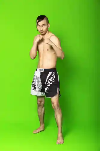 格斗和什么阵容搭配(暗影格斗3最厉害的套装)插图3