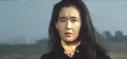 美人传 天书搭配什么阵容(美人传专属天书)插图2