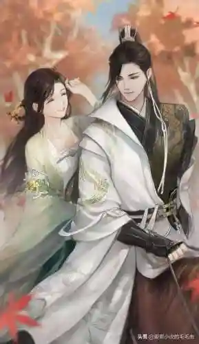 天子手游斗技阵容搭配(斗将手游)插图3 天子手游斗技阵容搭配(斗将手游)插图3