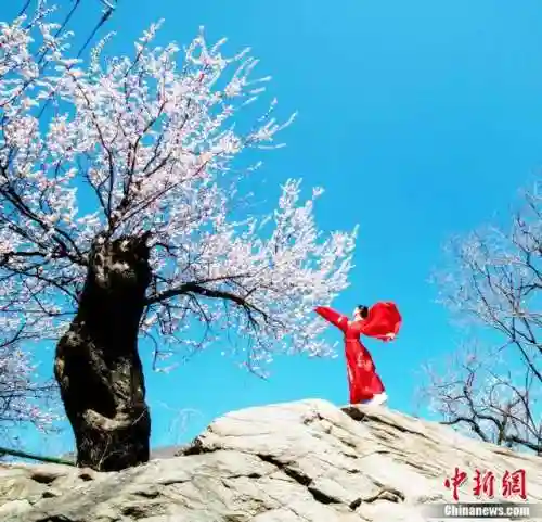 战国英雄手游版烈焰飞雪(新战国英雄有手游吗)插图20