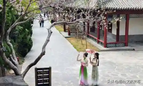 仙剑3蓬莱攻略图文攻略(仙3蓬莱迷宫图解)插图5 仙剑3蓬莱攻略图文攻略(仙3蓬莱迷宫图解)插图5