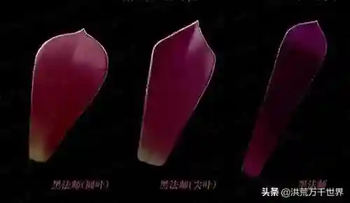 阴阳法师阵容搭配图表(王者模拟战法师阵容)插图3 阴阳法师阵容搭配图表(王者模拟战法师阵容)插图3