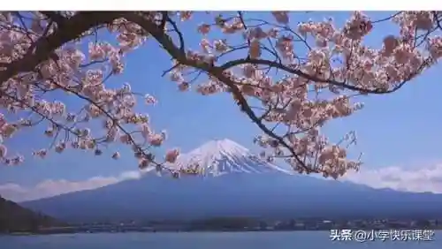 天天快乐最强阵容搭配(天天迷城最强阵容攻略大全)插图1