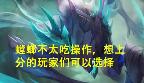 虚空掠夺者是什么位置(虚空之女叫什么)插图14