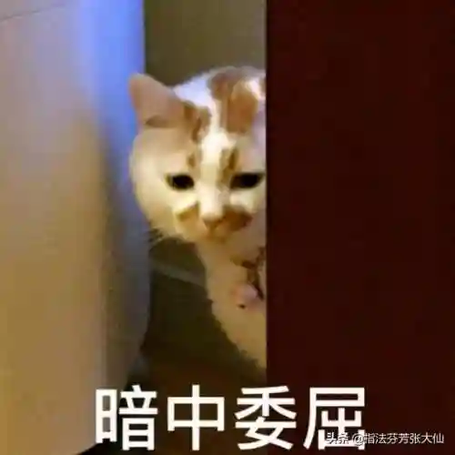 魔法师装备阵容搭配(魔法英雄平民最强阵容)