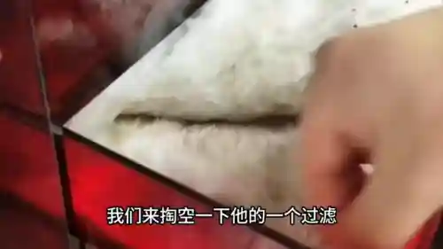 驯龙骑士阵容搭配(小小驯龙师的无敌阵容)