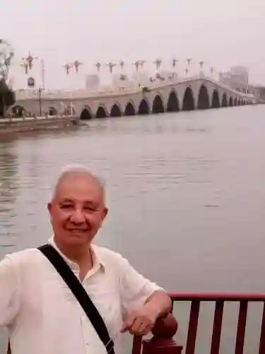 剑耀之影精灵搭配阵容(圣树之光阵容搭配)插图1
