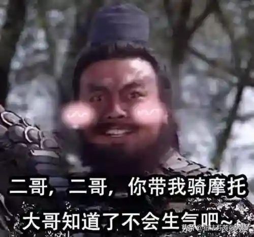 关羽荣耀典藏搭配阵容(关羽张飞t0阵容)