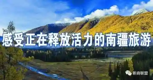 穆塞莱斯搭配什么阵容最强(哈迪斯流派搭配表)插图1