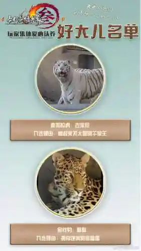 代号战歌侠士阵容搭配(战歌竞技场最强T0阵容)插图6 代号战歌侠士阵容搭配(战歌竞技场最强T0阵容)插图6