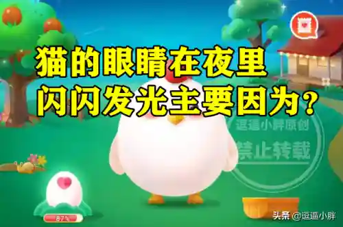 猫的眼睛蚂蚁庄园(蚂蚁庄园的答案今天)