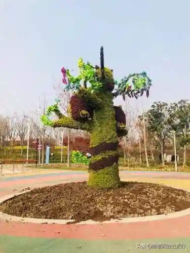 洛克王国紫藤快速获得(洛克王国紫藤150怎么弄)插图3