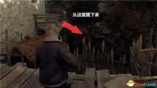 生化危机4游戏剧情详解(生化危机4讲了什么故事)插图77
