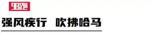 强风羁绊搭配什么阵容(火影风主后期最强阵容)插图16