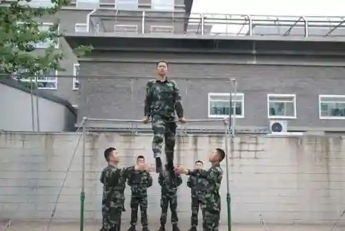 武艺夺命盾牌阵容搭配(郝昭反击盾阵容搭配推荐)插图2