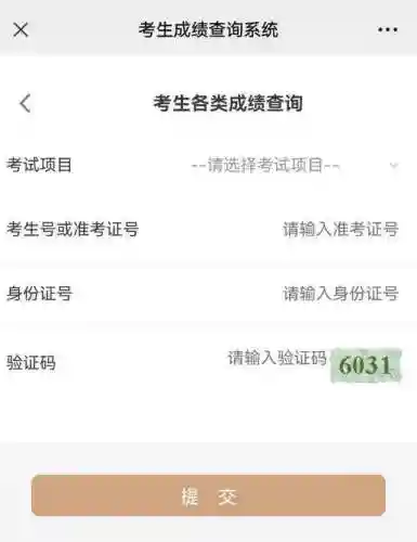 考试成绩查询(中小学生查成绩的软件)插图2