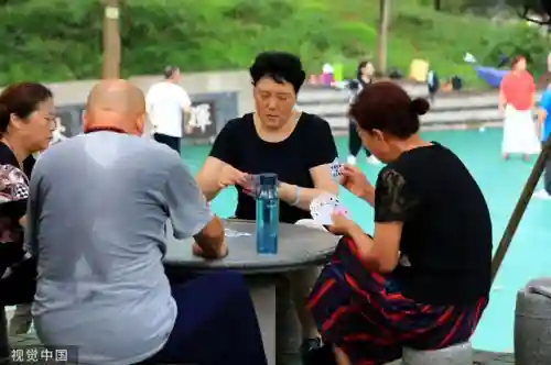 最火的麻将游戏(麻将app排行榜前十名)插图14