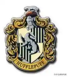 霍格沃茨分院测试入口(wizardingworld分院测试)插图2