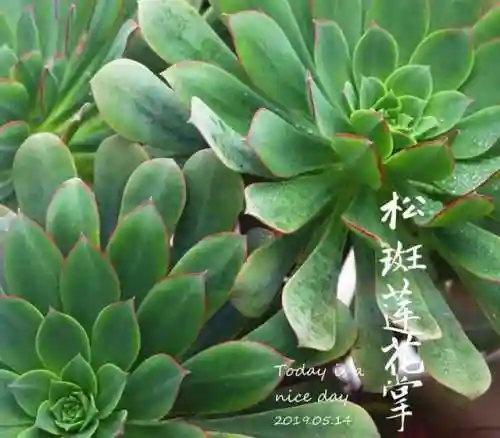 法师最牛最霸气名字(一眼就看出是玩法师的ID)插图90