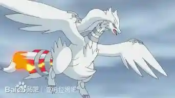 神奇宝贝所有龙系精灵(精灵宝可梦所有钢系精灵)插图14