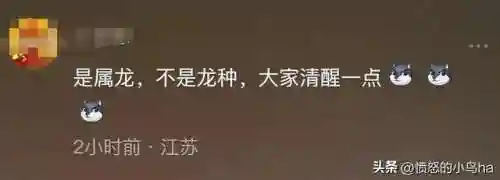 愤怒的小鸟龙年春节版(愤怒的小鸟最新手游下载)插图1