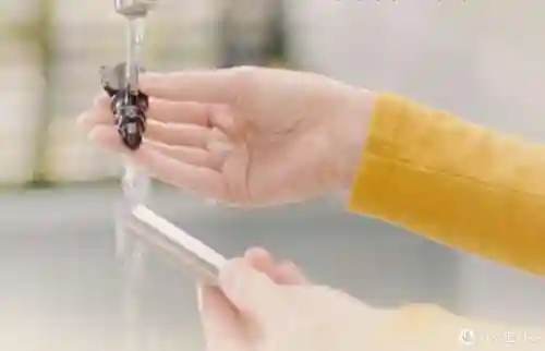 322小游戏盒(30道家常小炒素菜谱)插图4